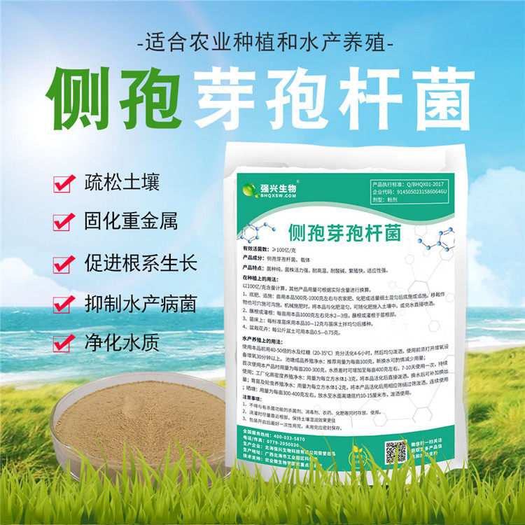 10 billion grams of Lateral Sporophylla to degrade soil Heavy Metal Improved Soil Resolution Board High Fertilizer Utilization