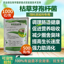 FEED 100 billion g subtilis composite Bacillus cattle chicken pig feed additive probiotics appetizer