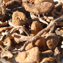 Northeast specialty handmade selection of hazelnut mushroom diced 150g dry goods New 2 servings chicken stewed mushroom