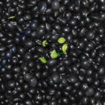 Tianjia shop: Northeast green core black beans 500g no yellow core farmhouse self-planted coarse grain full 5kg