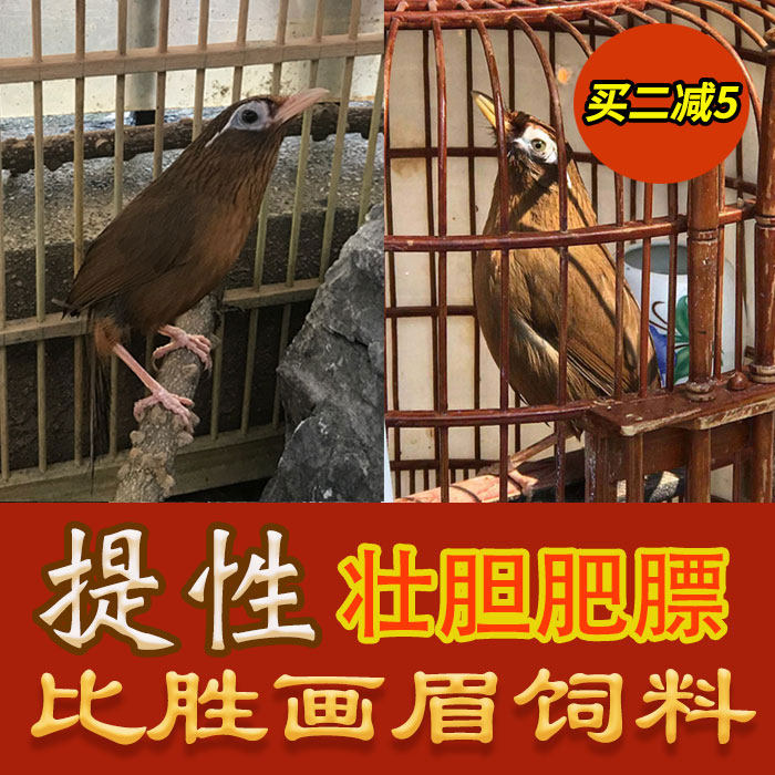 Bi Sheng thrush bird food feed to enhance the strength of the fat fighting bird material mouth to promote fire fighting bird body power competition material 500g