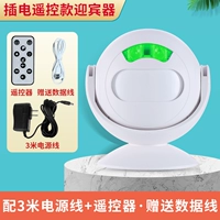 Шнур питания, делается под заказ, дистанционное управление, 3м