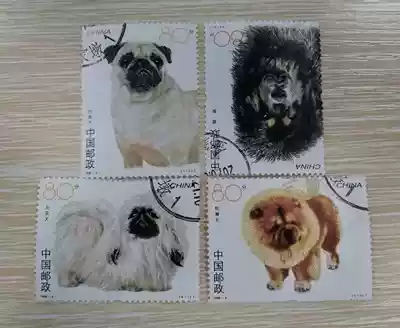 2006-6 Dog Credit Ticket (Top)