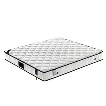 Density sponge spring mattress 1 51 8 m mattress imported coconut palm coconut palm mattress