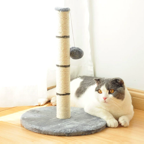 Меч -римп кошачий царапина Стоящие когти -устойчивый