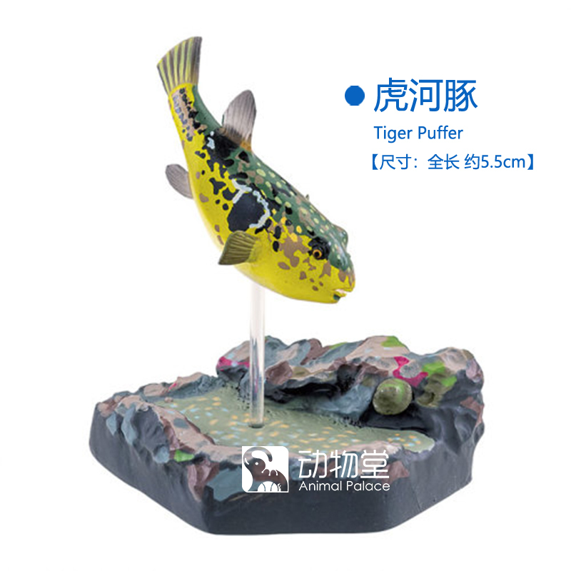 【Animal Hall】Japanese Colorata Butterfly Society Saltwater Fish Tiger Pufferfish Doghead Fish Model Toy