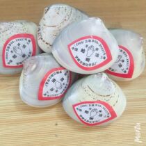 Old Shanghai hand clam Hall oil Shell oil crooked oil quack moisturizing anti-freeze dry cracking