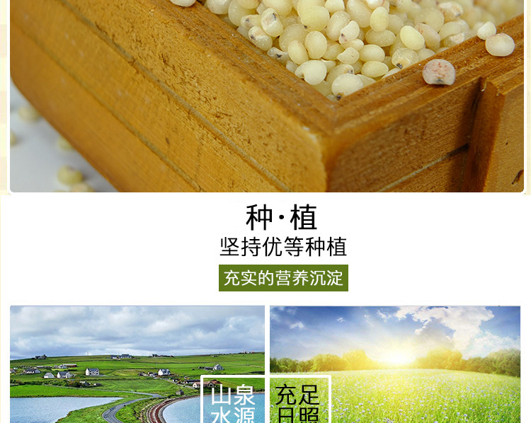 五谷杂粮，2018年新款五谷粗粮礼盒，郑州五谷杂粮礼盒团购专卖店插图11