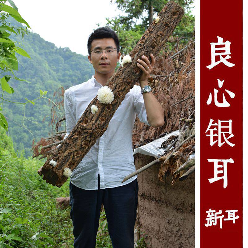 Authentic Tongjiang Basswood White Fungus Farm Wild Waxy White Fungus Dry Goods White Fungus Sulfur-Free 100g