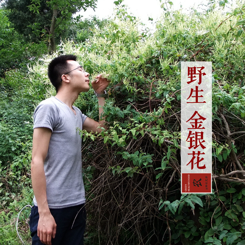 Honeysuckle honeysuckle tea Nanjiang Deep Mountain wild honeysuckle 2021 New stock 85 gr copies