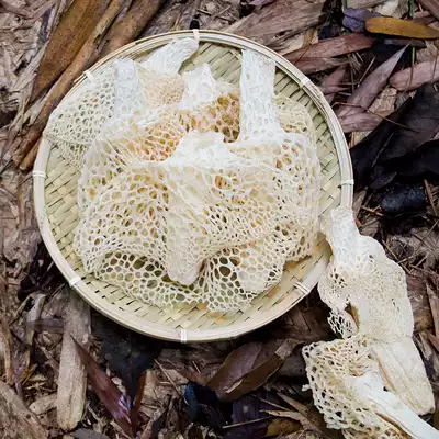 Long skirt bamboo Sheng Super sulfur-free wild bamboo Sheng Sichuan Yibin Changning specialty farm high quality small flower bamboo Sheng 100g