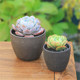 Coarse pottery flower pot succulent plant ceramic purple sand breathable creative desktop simple large and small old pile green plant flower pot