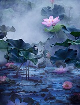 Plate woman costume Background Paper Photo Studio Theme Lotus lotus leaf costume photo background studio spray cloth