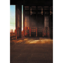 Plate woman costume background paper photo studio theme costume photo background studio costume PZ-198 dream