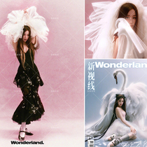 Photo studio pink gradient texture background cloth business photo creative pink background paper non-reflective photo background cloth