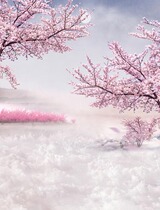 Peach blossom costume background paper costume photography background photo studio photo costume photo costume background cloth PZ-773