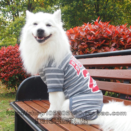 samoyed pajamas