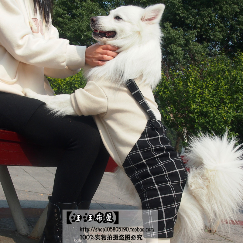 Dog Clothes for Medium and Large Dogs, Golden Retriever, Samoyed, Labrador Clothes, Overalls, Jumpsuit, Spring and Summer Four-Legged Clothing
