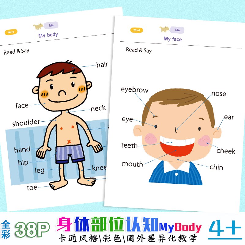 Kindergarten Baby Human Body Parts Cognition Children Characters Five Officers Know Cards Books English Enlightenment Teaching Aids