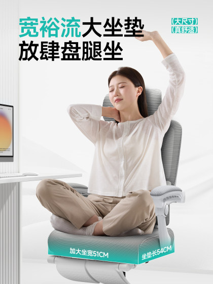 SF Home-170 Reclining Ergonomic Chair