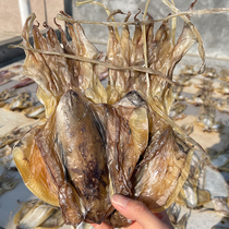 Dried cuttlefish from Dongshan Island in Zhangzhou Fujian Province a good choice for soup and porridge deep-sea squid