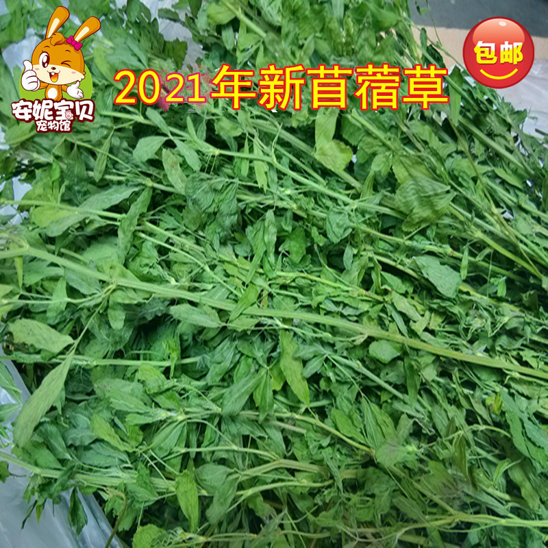 2021 Rabbit Grass Grass Rabbit Food Gross Weight 1000 grams Alfalfa Grass Totoro Rabbit Guinea Pig Alfalfa