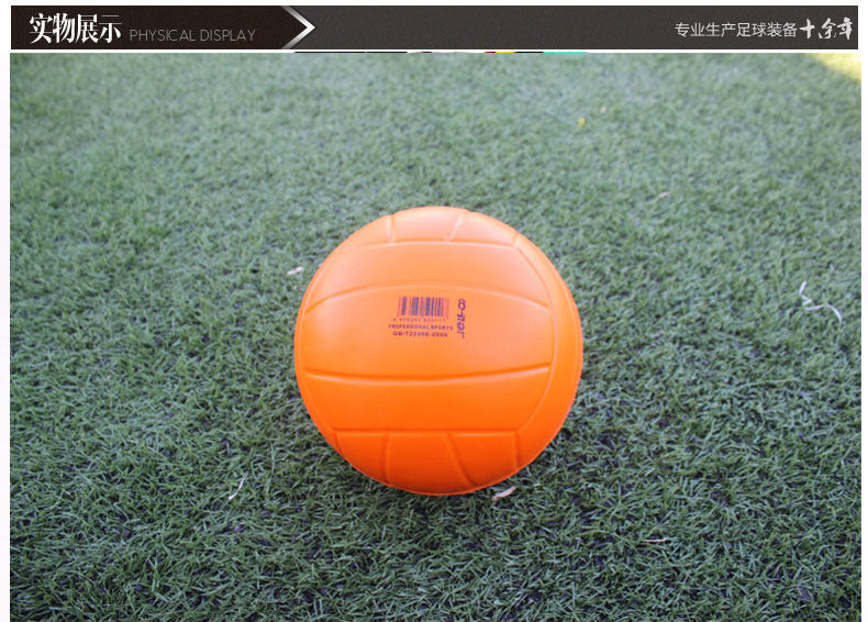 Ballon de volley-ball - Ref 2012767 Image 21