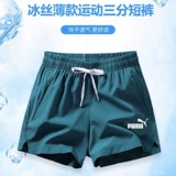 [Один склада зона] Выйти из полков 丨 Покрыть шкаф и очистить склад 丨 Взрывное прямое осень 丨 Летний выбор 丨 Одежда для домашних животных