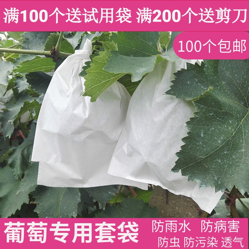 Grape bag insect proof bag open-air grape bagging fruit bag special bagging waterproof sleeve grape with paper bag fruit breeding bag