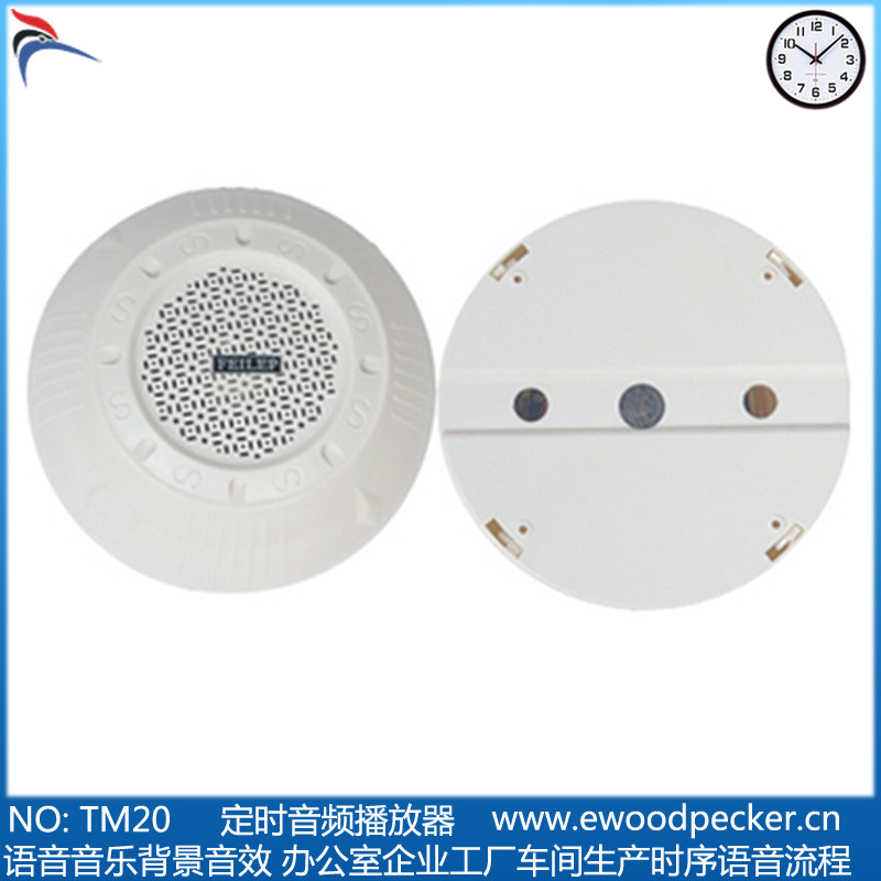 TM20 regularly plays subway bank voice prompts, regular voice explanations, wall-mounted speakers