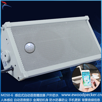 MO50-6 warehouse park corridor outdoor waterproof high power sensor automatic voice prompter mobile phone update