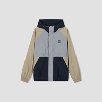 Коричневый серый цвет