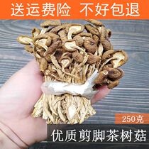 High quality tea tree mushroom 250g half a catty cut soup dried goods mushroom ingredients