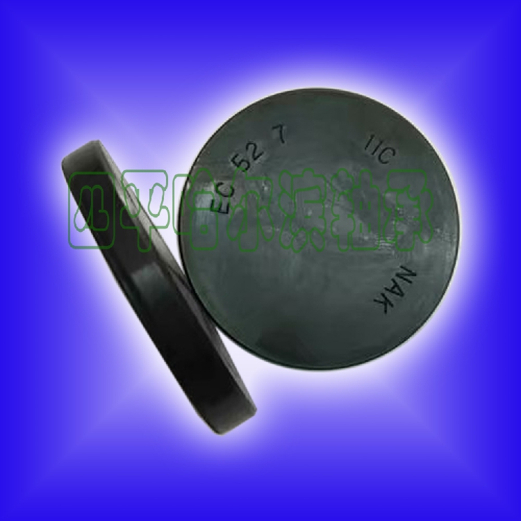 Taiwan imported NAK end cap oil seal EC 52*7 8 dustproof 55*10 High pressure anti-fine ash corrosion resistance wear resistance