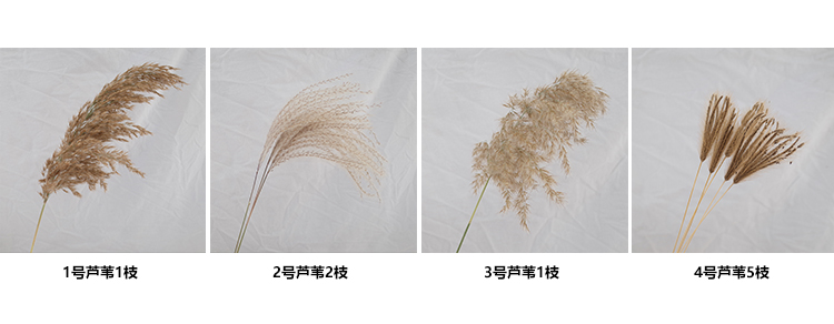 Park Jane retro cũ bằng gỗ ngoại quan trang trí bình B & B nhà mềm trang trí bình sậy trang trí 6045 phụ kiện trang trí nhà bếp