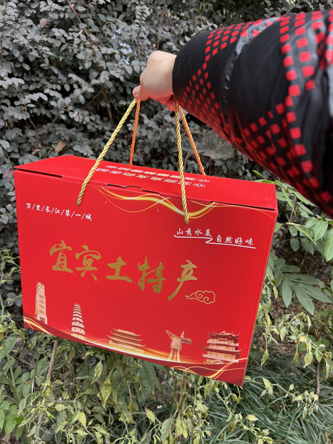 家乡味宜宾特产