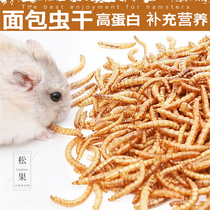Hamster Snacks Bread Worm Flower Brooss Golden Silk Bear Complementary protein Fatter Meme Pet Little Snacks