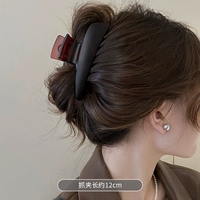 Матовый черепаховый панцирь ~ ретро и сдержанность