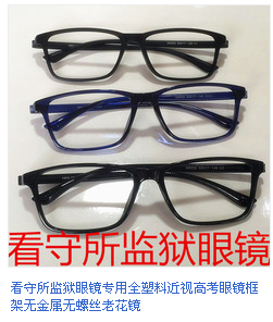 Montures de lunettes en Memoire plastique - Ref 3139709 Image 9