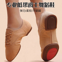 Low Gang Jazz Dance Shoes Adult Canvas Soft Bottom Dance Shoes Big Bottoms Workshoes Thickening Teachers Shoes National Ballet