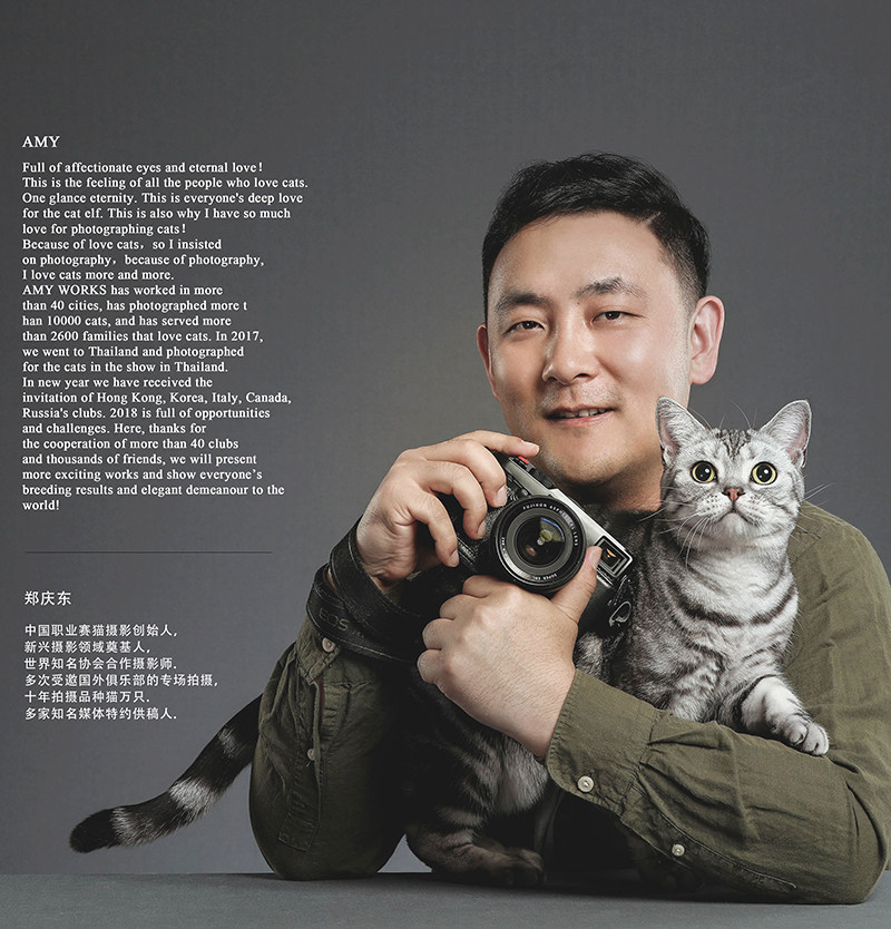 (Founder) AMYWORKS cat shooting set (cat photography pet photography cat shooting)