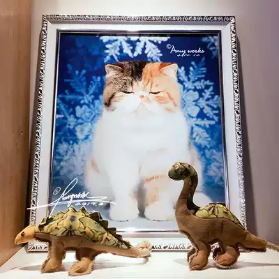 Custom high-end gold and silver embossed picture frame]AMY WORKS professional cat photography founding agency cat picture frame