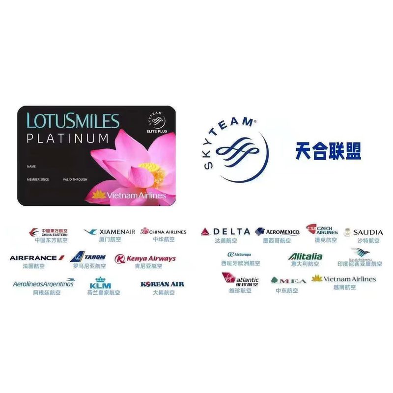 Vietnam Airlines Members of China Southern Airlines Can Use the Skyteam Super Elite and Skyteam Elite Services Vietnam Airlines Members of China Southern Airlines Can Use the Skyteam Super Elite and Skyteam Elite Services