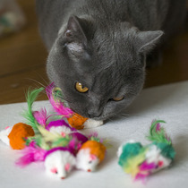 Cat and mouse toy cat and mouse educational toy fake mouse cat toy cat toy mouse 5 Pack