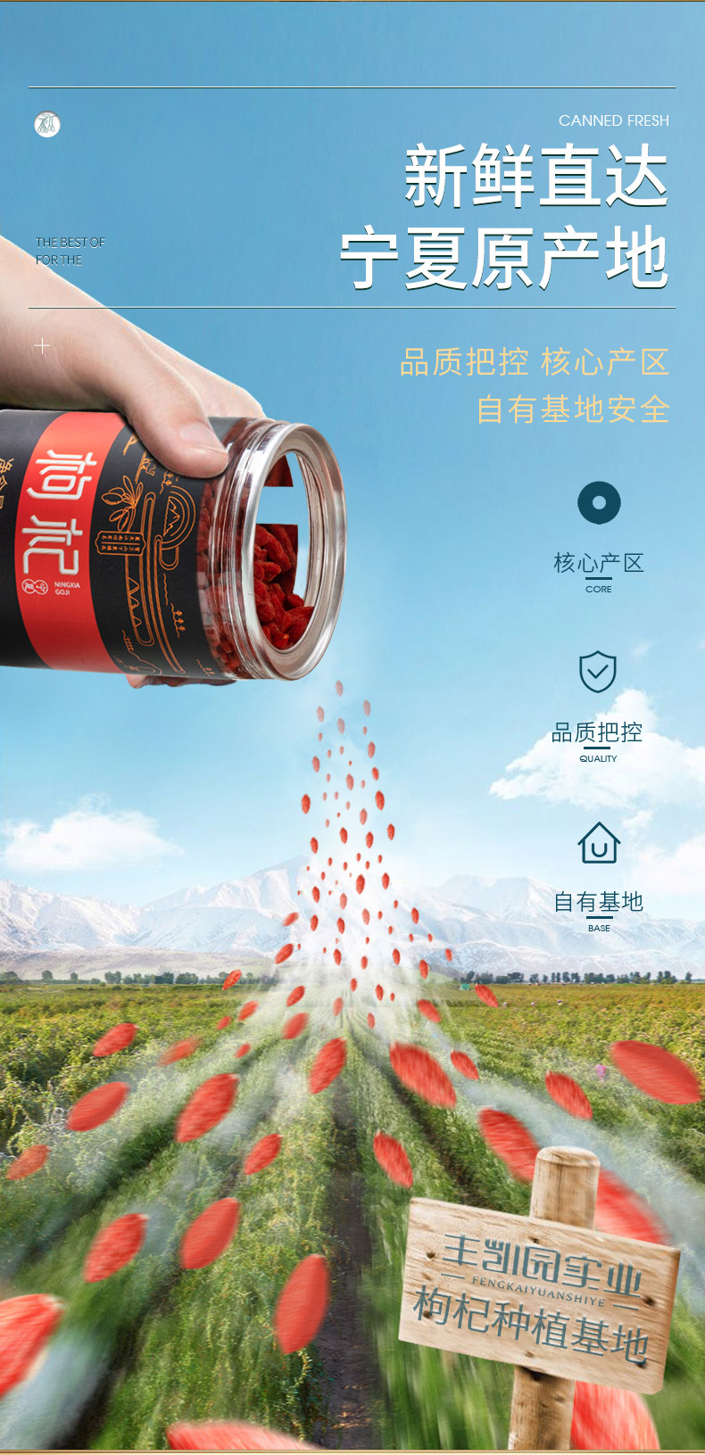 丰凯园 头茬中宁苟杞 250g*2罐 特级大果 270粒/50g 图7