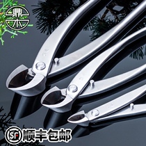 Dingwood fork branch scissors oblique shear oblique ball scissors bonsai trimming modeling special tools stainless steel scissors