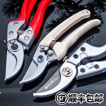Pruning shears garden gardening fruit tree scissors flower scissors Alice pruning branches Fruit tree pruning bonsai thick branch construction