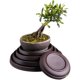 Bonsai flower tray ສີມ່ວງ sand tray flower pot water receives chassis ceramic rectangular round pot tray flower tray base bottom tray bottom