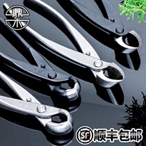Dingwood bonsai pruning modeling special tool ball joint shears spherical scissors leaf buds cutting Rod pliers professional