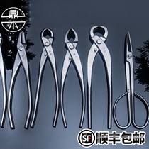 Dingwood bonsai trimming and Styling Special tool set ball joint shears leaf bud scissors fork branch shears broken rod pliers